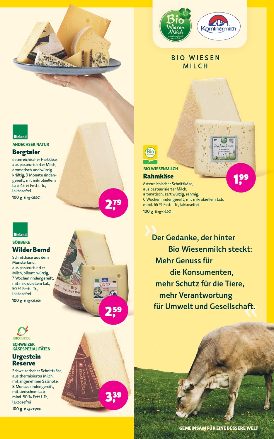 Angebote